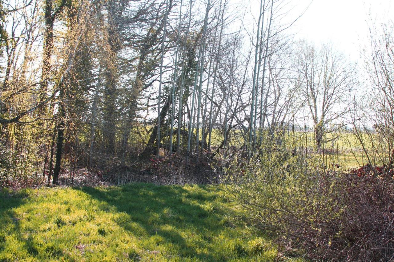 Ferienwohnung Rätzlingen am Teich Fewo Ella Exterior foto